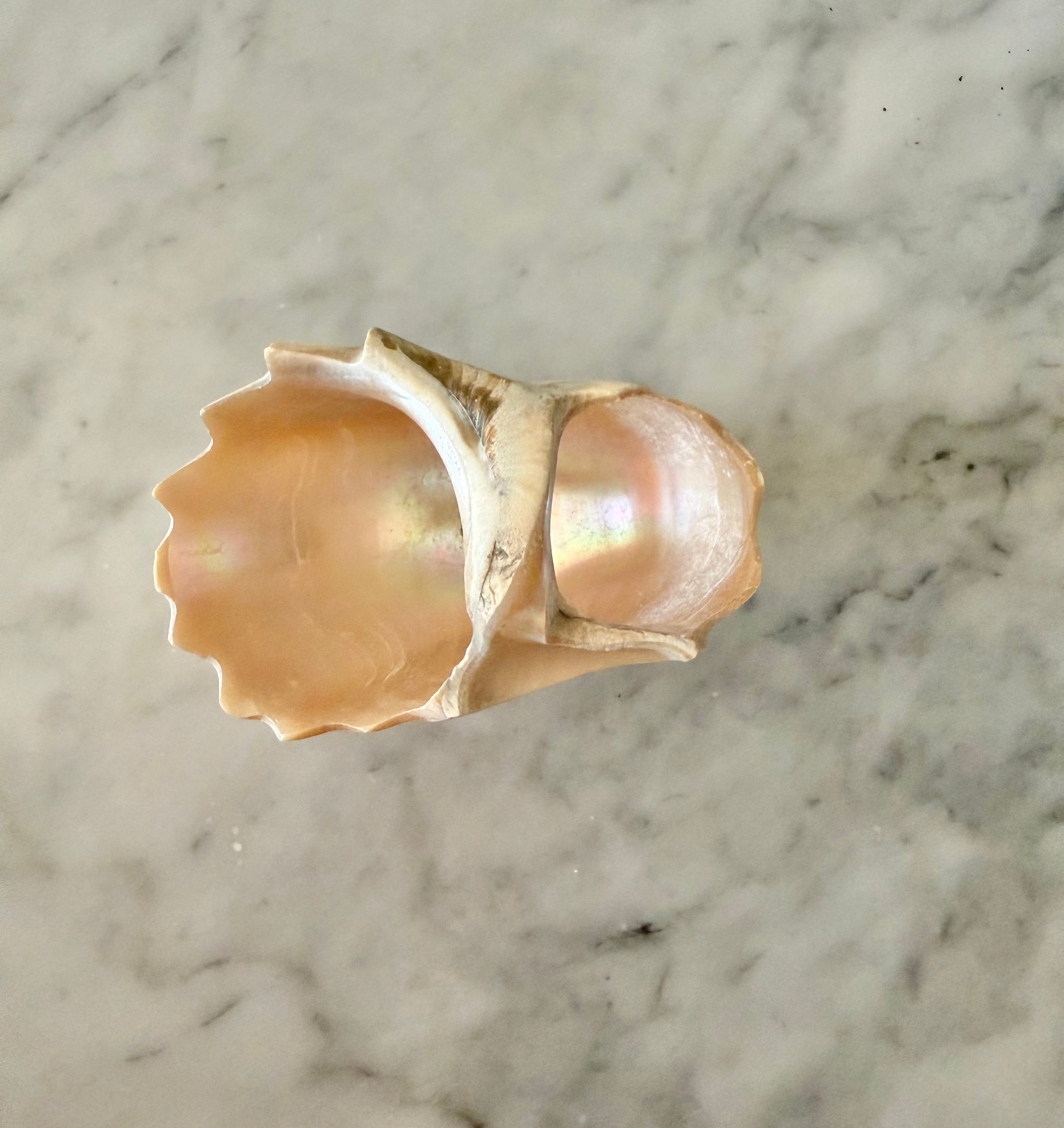 Petite Carved Shell Dish