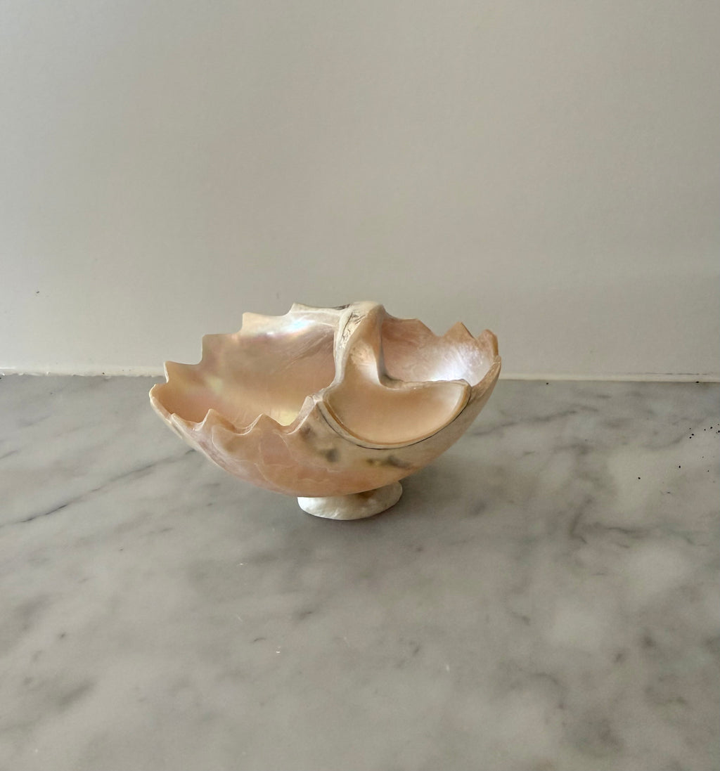 Petite Carved Shell Dish