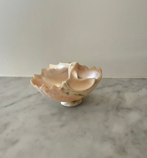 Petite Carved Shell Dish
